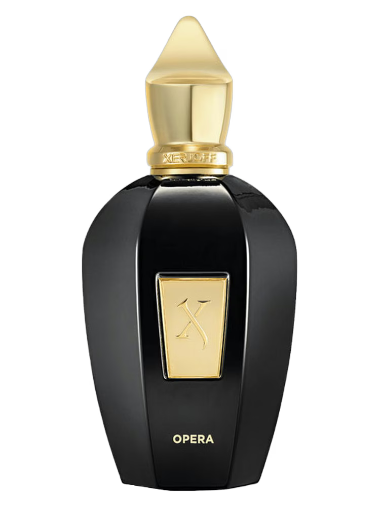 Xerjoff More Than Words Eau de Parfum 100ML