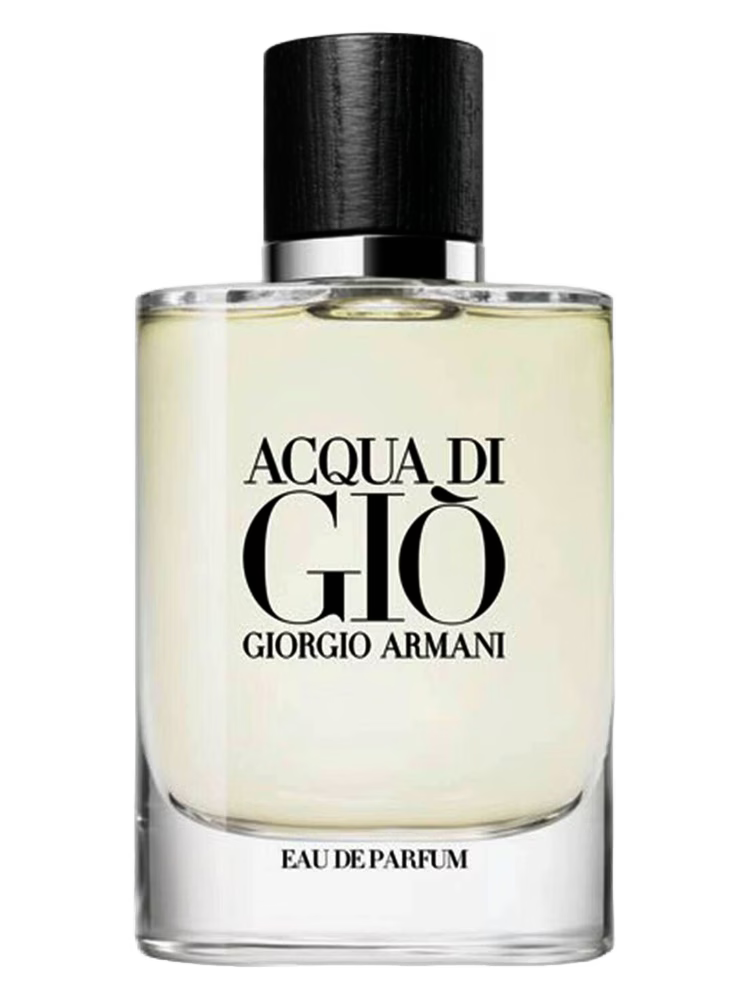 Giorgio Armani Giorgio Armani Acqua di Giò Pour Homme Eau de Toilette 100ML