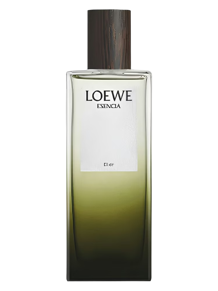 Loewe Esencia Elixir Eau de Parfum 100ML